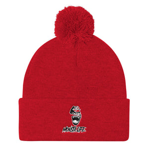 Pom Pom Knit Cap